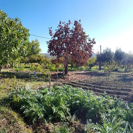 Higuera Santa Ana Lantställe *