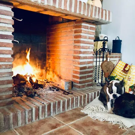 Higuera Santa Ana רונדה