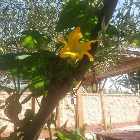 ホテル Higuera Santa Ana