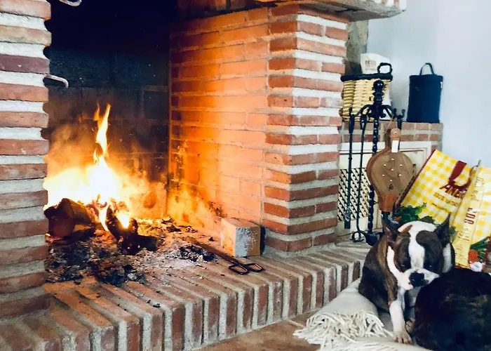 Higuera Santa Ana 론다