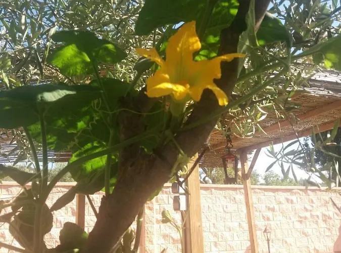 호텔 Higuera Santa Ana