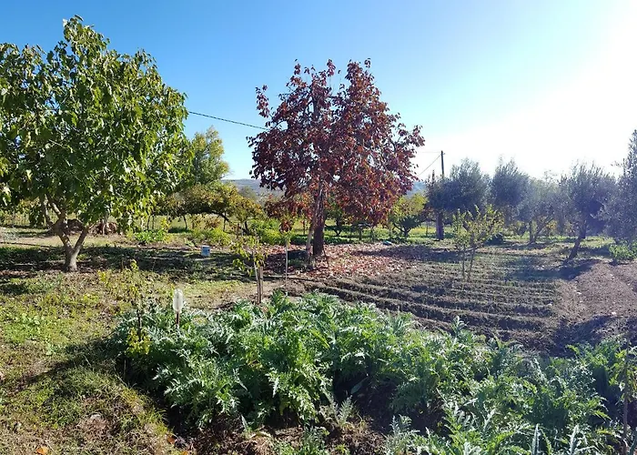 Higuera Santa Ana Szálloda *